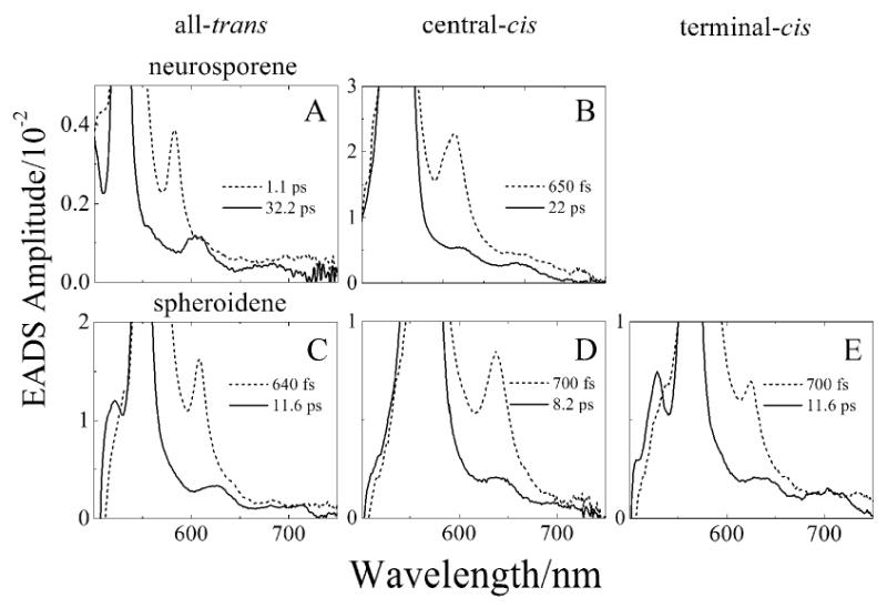 Fig. 8