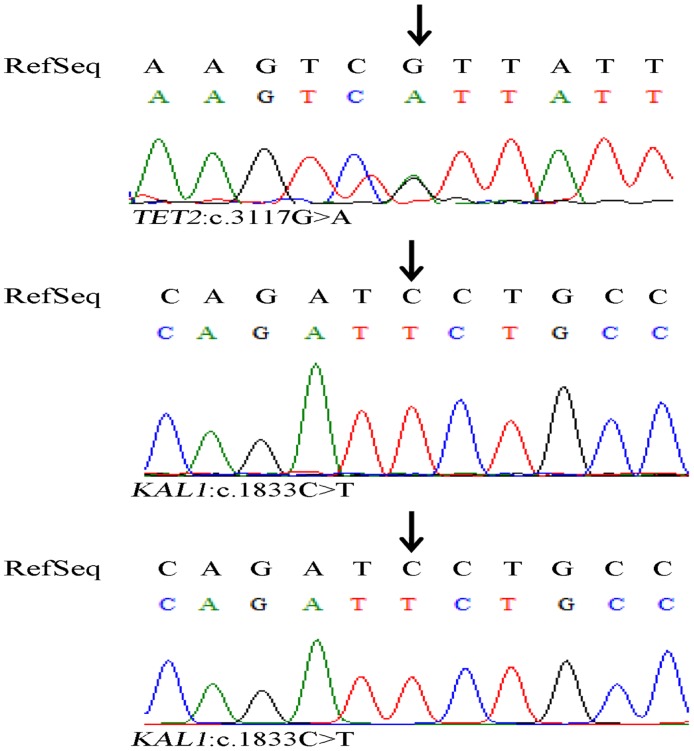 Fig 5