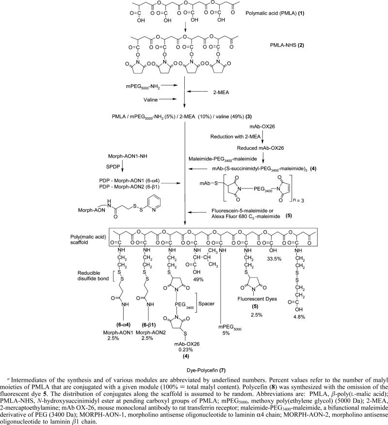 Scheme 1