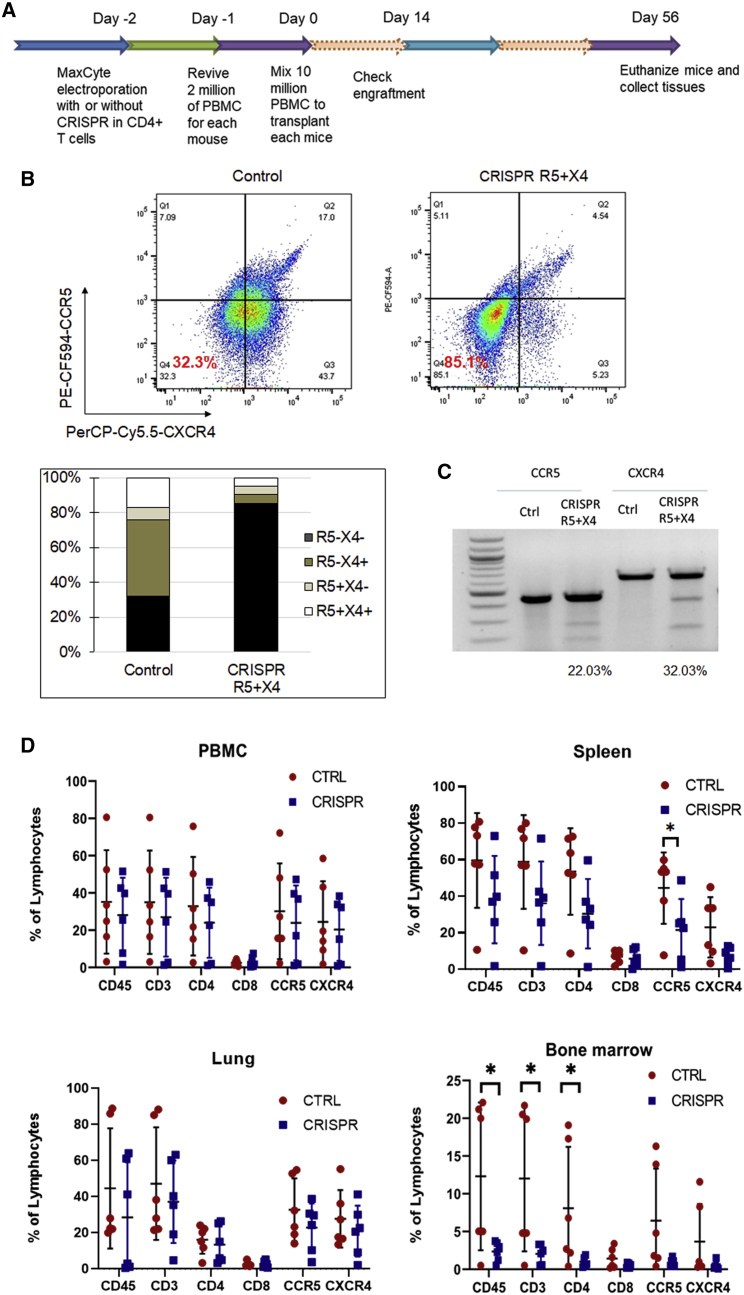 Figure 6