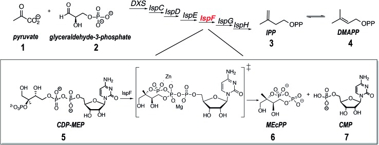 Scheme 1