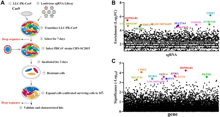 Figure 1