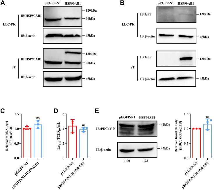 Figure 3