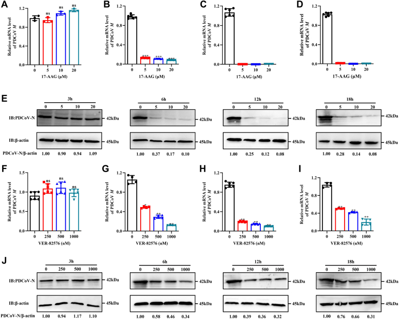 Figure 5