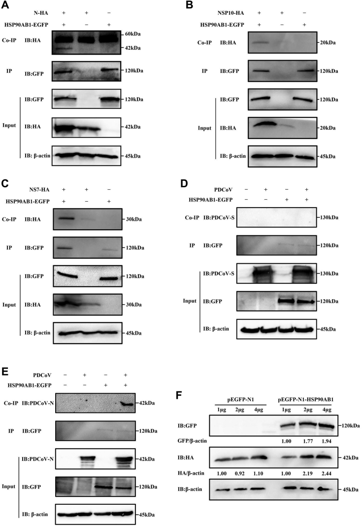 Figure 6