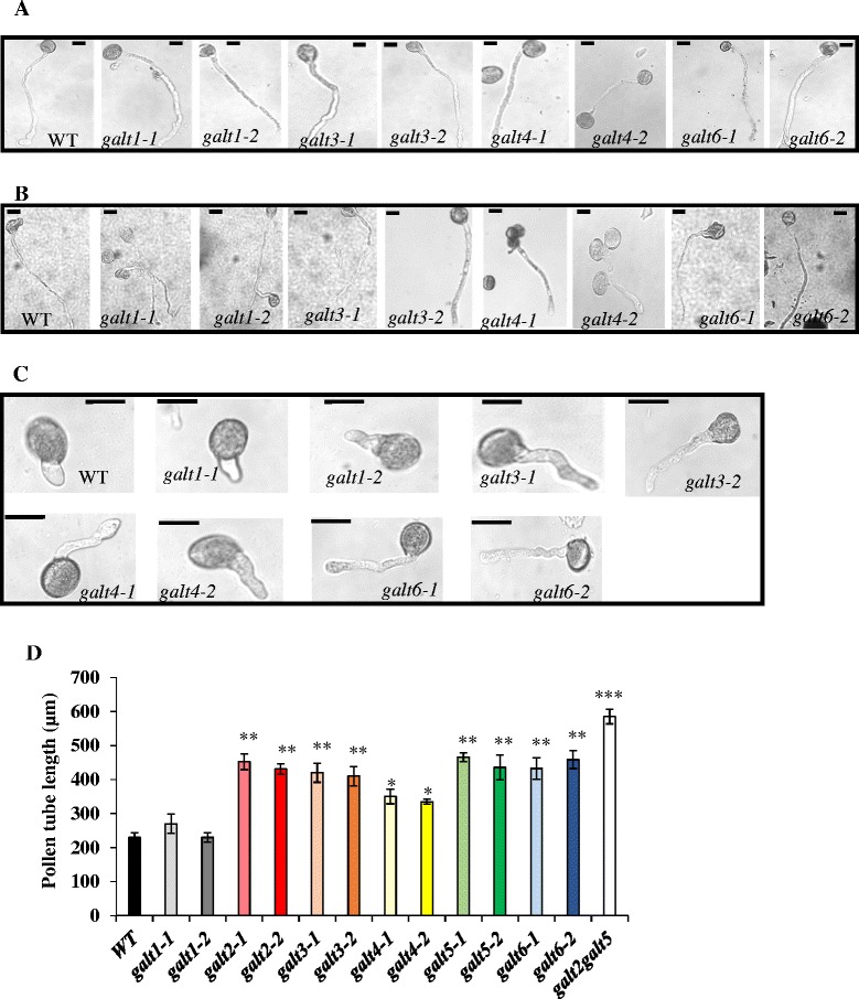 Fig. 9