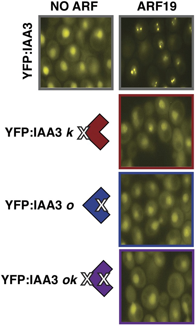 Fig. S6.