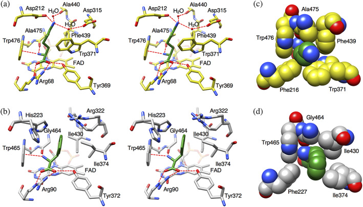 FIGURE 2