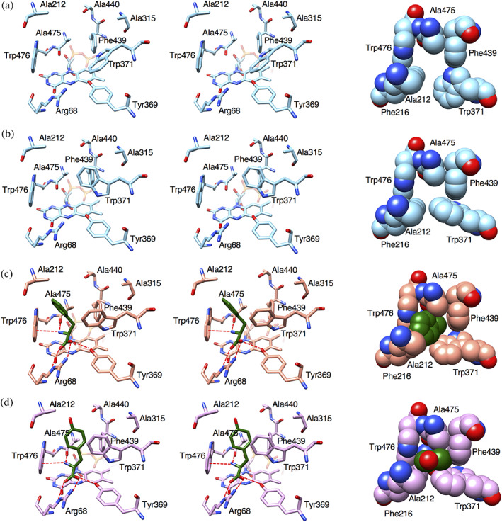 FIGURE 6