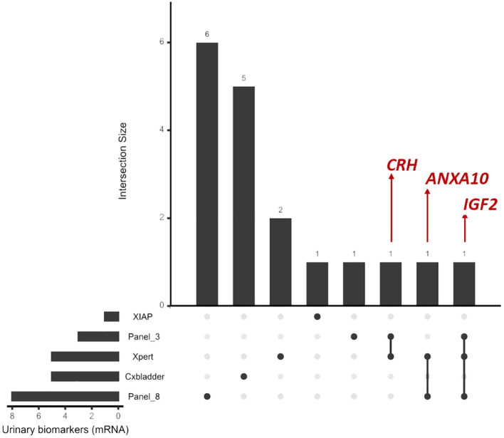 Figure 1