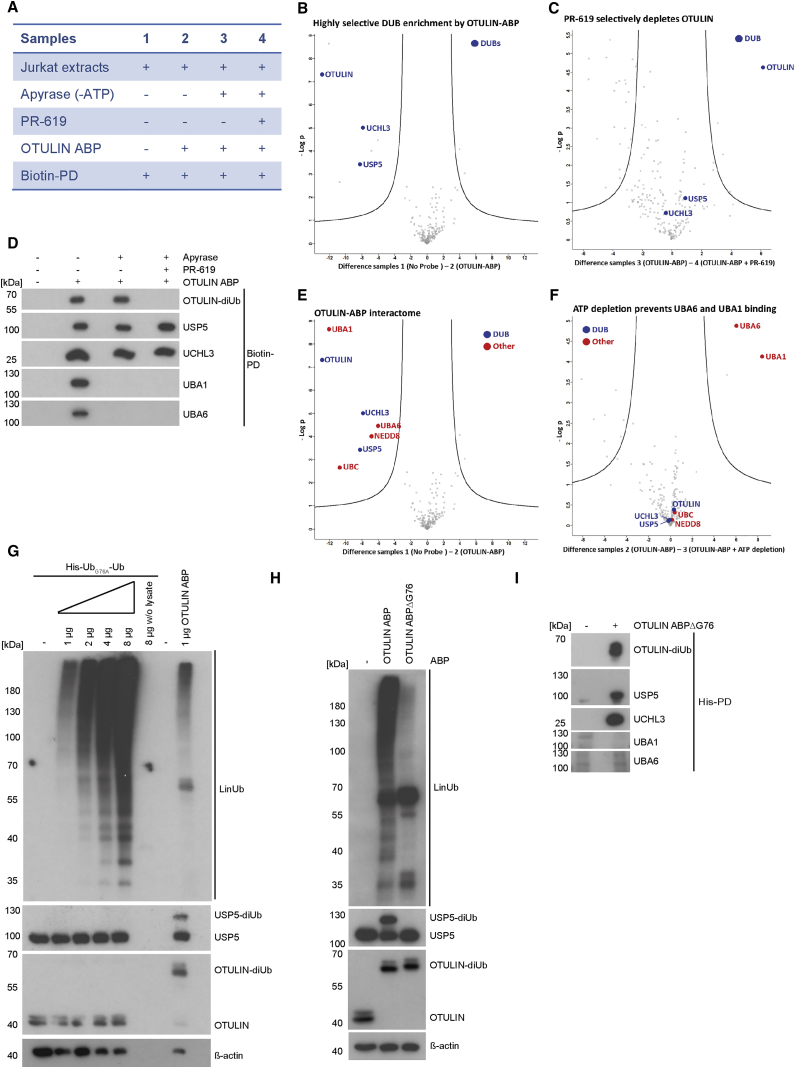 Figure 6