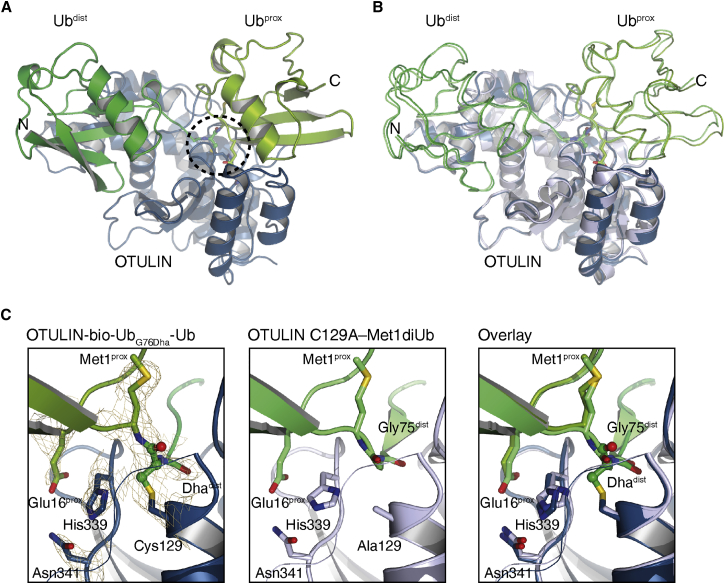 Figure 3