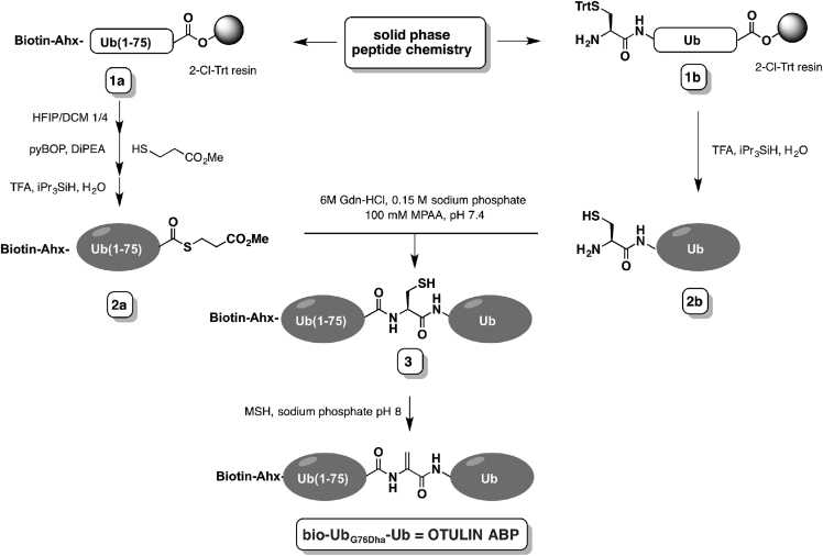 Figure 1