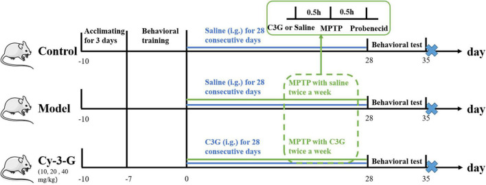 FIGURE 1