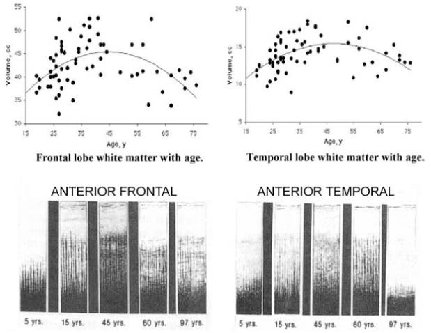 Figure 3.1