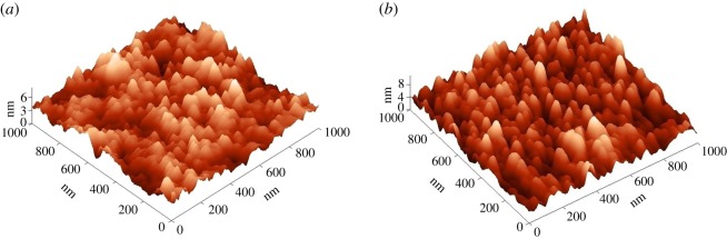 Figure 2.