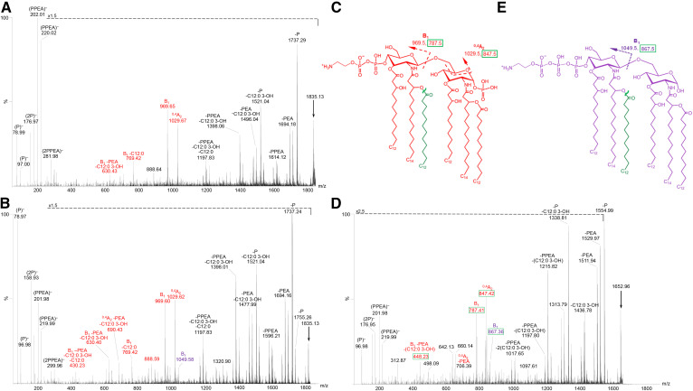 Fig. 6.