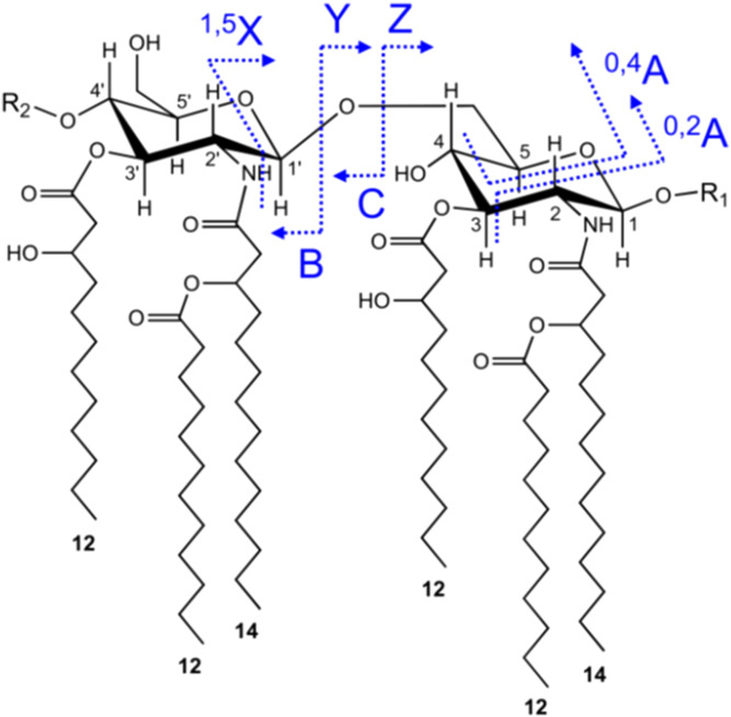 Fig. 2.