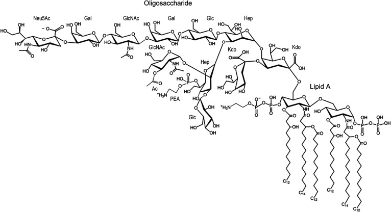 Fig. 1.