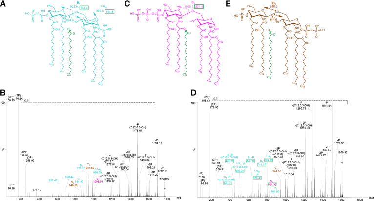 Fig. 7.