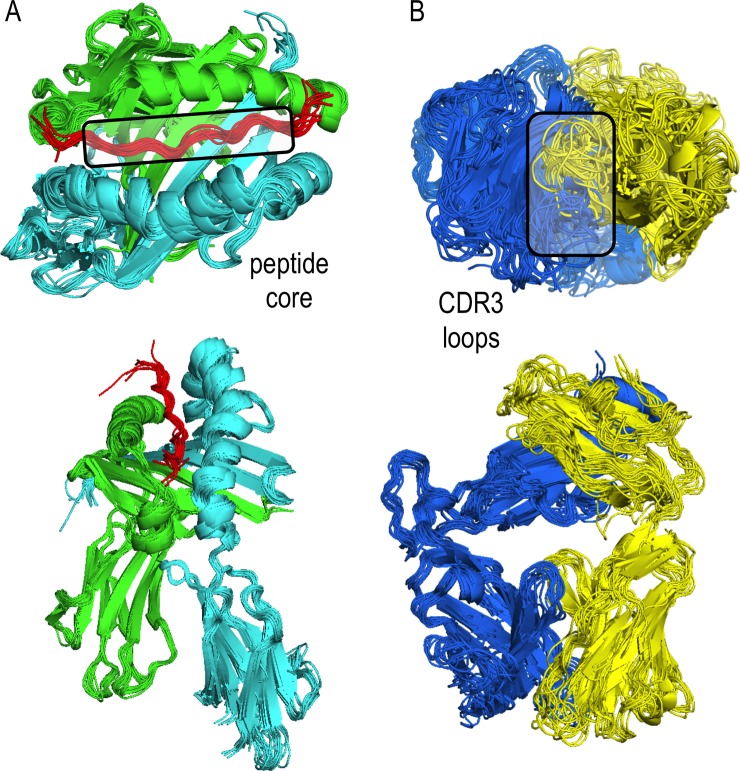 Fig 5