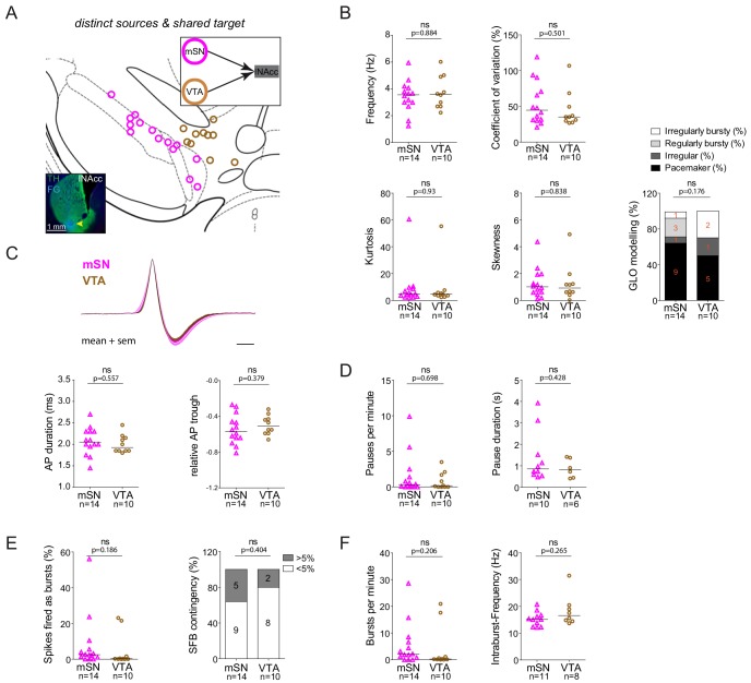 Figure 7—figure supplement 3.