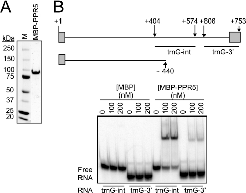 FIG. 6.