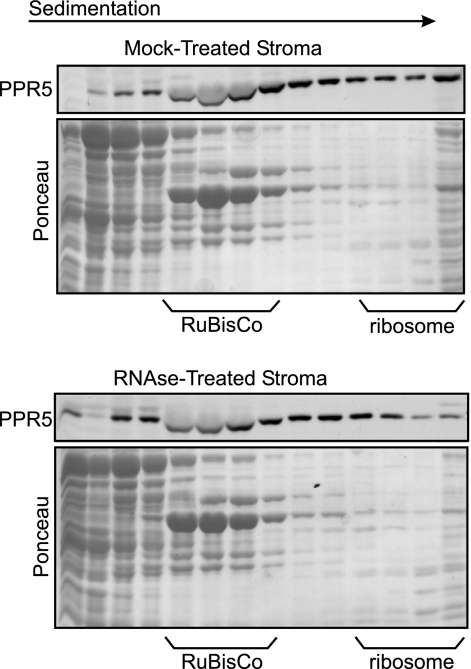 FIG. 8.