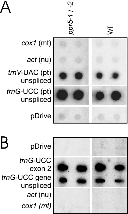 FIG. 7.