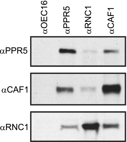 FIG. 9.