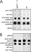 FIG. 7.