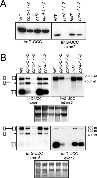 FIG. 5.