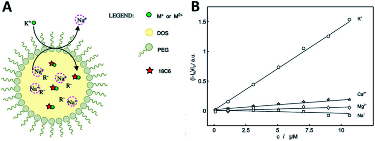 Fig. 10