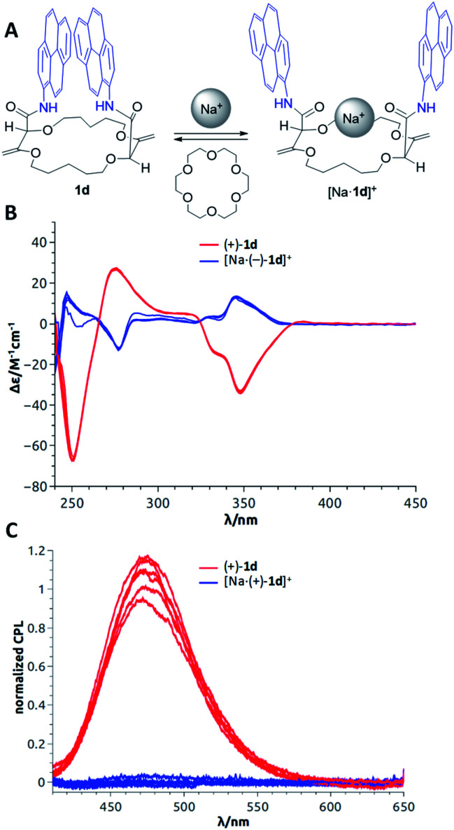 Fig. 12