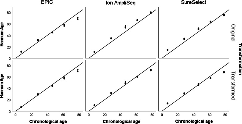 Fig. 8