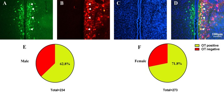 Figure 7—figure supplement 3.