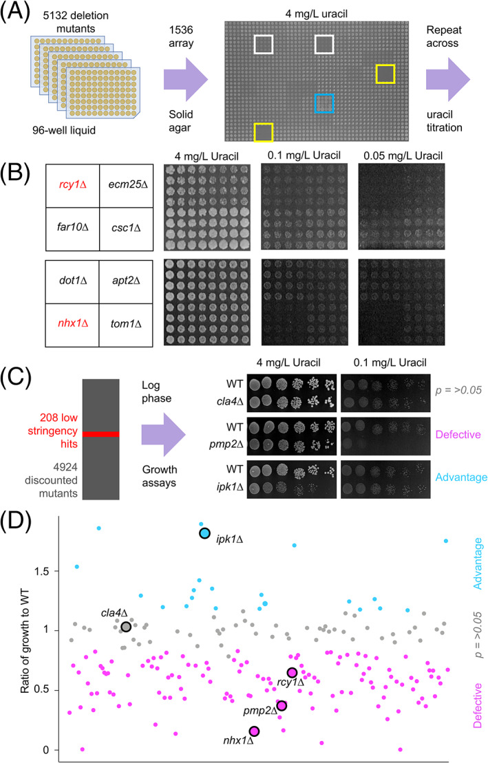 FIGURE 3