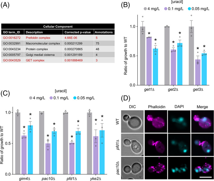 FIGURE 4