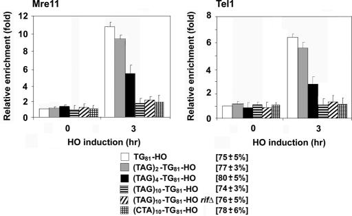 FIGURE 3: