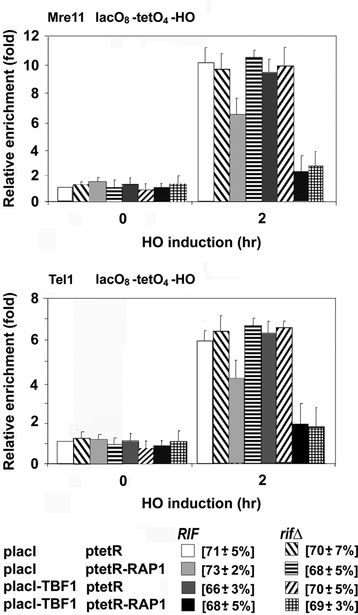 FIGURE 5: