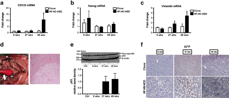 Figure 6