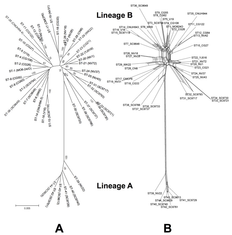 Fig 2