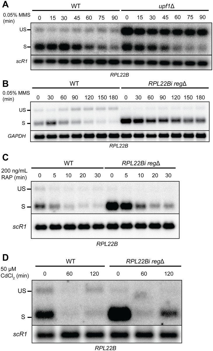 Fig 5