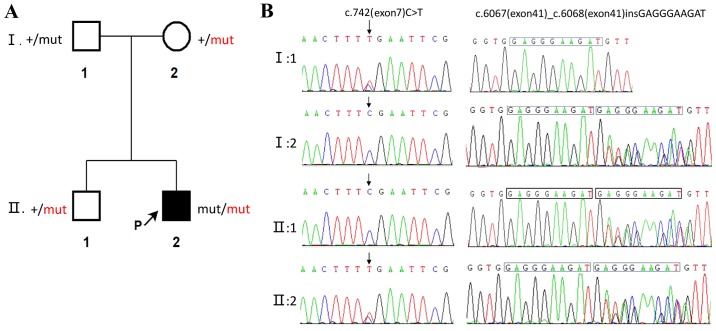 Figure 3.