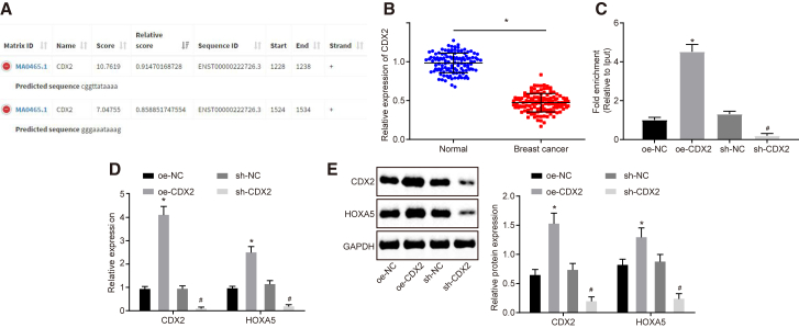 Figure 3