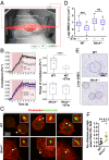 Fig. 4.