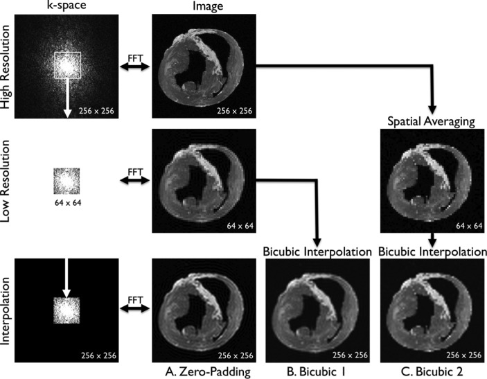 Fig. 2.