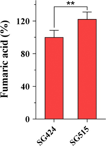 Fig. 5