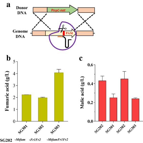 Fig. 3