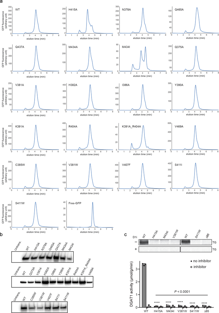 Extended Data Fig. 10 |